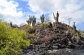 777_Ecuador_Galapagos_Island_Floreana
