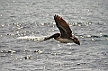 782_Ecuador_Galapagos_Island_Floreana