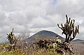 783_Ecuador_Galapagos_Island_Floreana