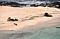 787_Ecuador_Galapagos_Island_Floreana