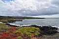 789_Ecuador_Galapagos_Island_Floreana