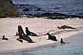 790_Ecuador_Galapagos_Island_Floreana