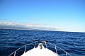 796_Ecuador_Galapagos_Island_Floreana_Boot_Tour