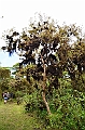 805_Ecuador_Galapagos_Santa_Cruz_Los_Gemelos