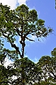 808_Ecuador_Galapagos_Santa_Cruz_Los_Gemelos
