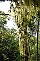 809_Ecuador_Galapagos_Santa_Cruz_Los_Gemelos