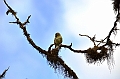 811_Ecuador_Galapagos_Santa_Cruz_Los_Gemelos