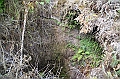813_Ecuador_Galapagos_Santa_Cruz_Los_Gemelos