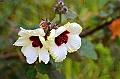 819_Ecuador_Galapagos_Santa_Cruz_Los_Gemelos