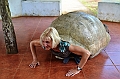 826_Ecuador_Galapagos_Santa_Cruz_El_Chato_Tortoise_Reserve