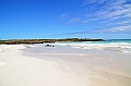 848_Ecuador_Galapagos_Santa_Cruz_Tortuga_Bay