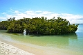 861_Ecuador_Galapagos_Santa_Cruz_Tortuga_Bay
