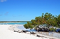 865_Ecuador_Galapagos_Santa_Cruz_Tortuga_Bay