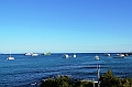 873_Ecuador_Galapagos_Santa_Cruz_Puerto_Ayora