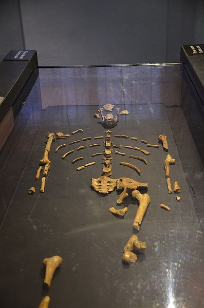 003_Ethiopia_North_Addis_Abeba_National_Museum.JPG