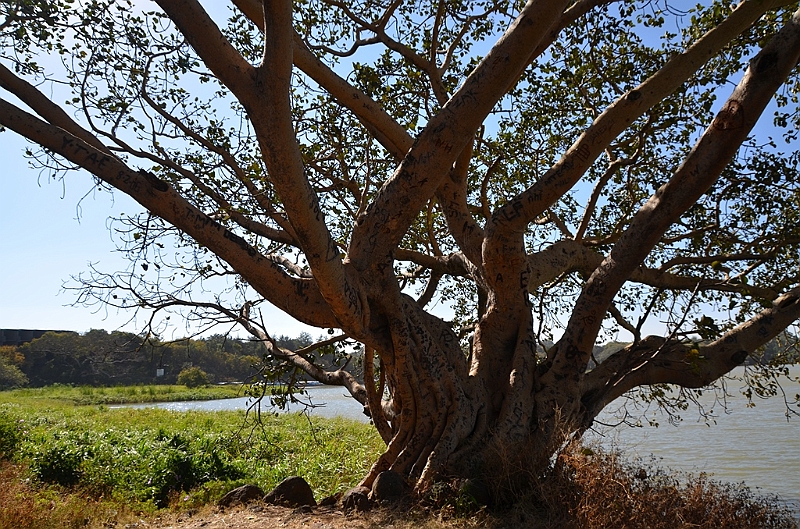 030_Ethiopia_North_Bahir_Dar_Tana_See.JPG