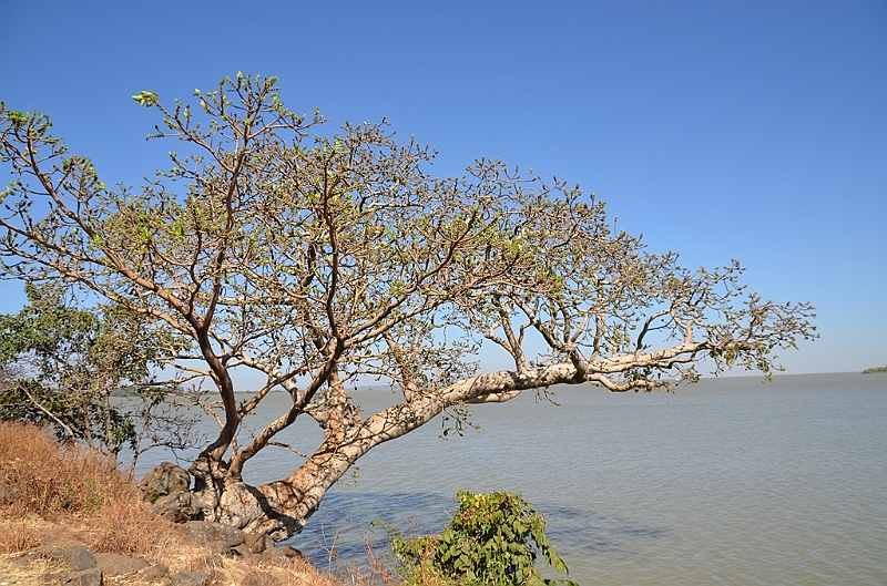 034_Ethiopia_North_Bahir_Dar_Tana_See.JPG