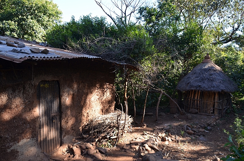 048_Ethiopia_North_Bahir_Dar_Tana_See.JPG