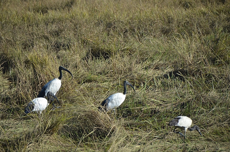 051_Ethiopia_North.JPG