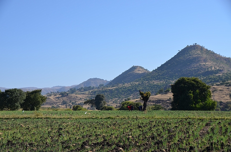 059_Ethiopia_North.JPG