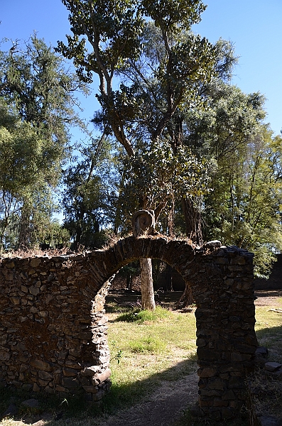 105_Ethiopia_North_Gondar_Debre_Berhan_Selassie_Church.JPG