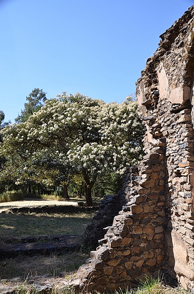 128_Ethiopia_North_Gondar_Royal_Enclosure.JPG