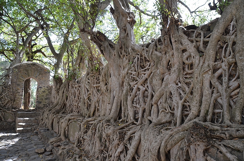 142_Ethiopia_North_Gondar_Fasiladas_Bath.JPG