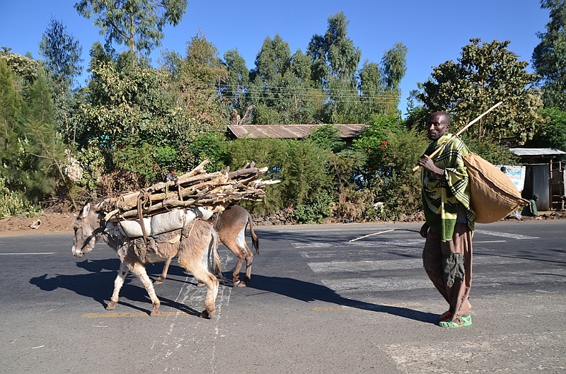 163_Ethiopia_North.JPG