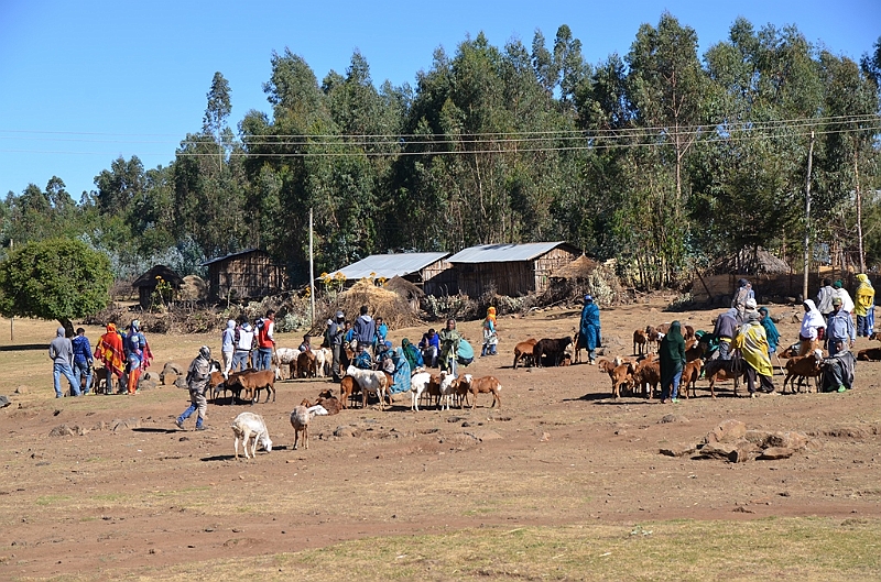 175_Ethiopia_North.JPG
