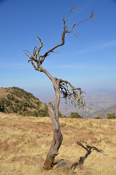 203_Ethiopia_North_Semien_NP.JPG