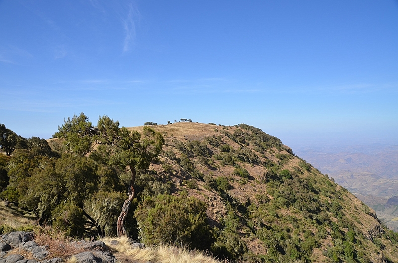 210_Ethiopia_North_Semien_NP.JPG
