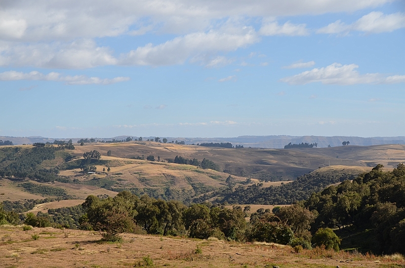 219_Ethiopia_North_Semien_NP.JPG