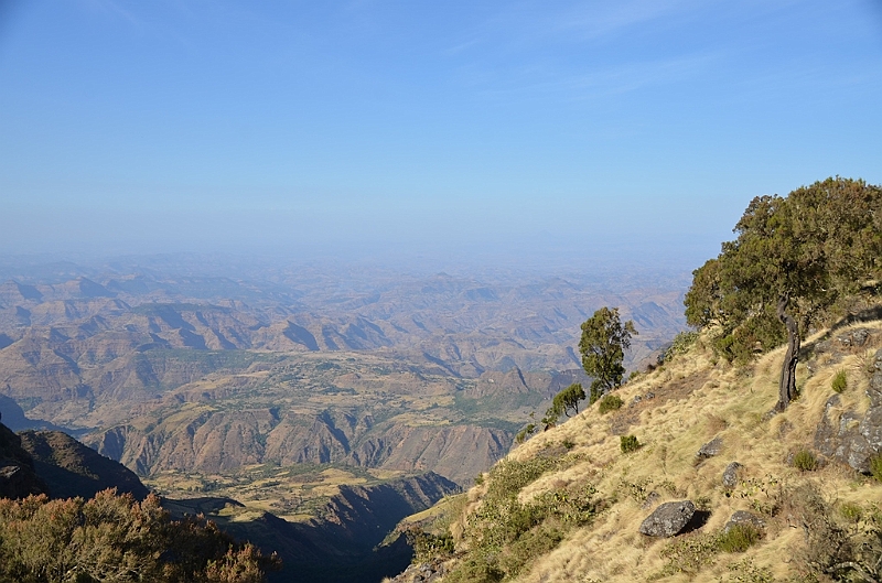 228_Ethiopia_North_Semien_NP.JPG