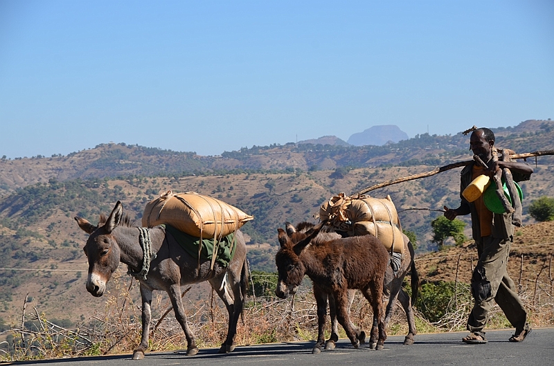 264_Ethiopia_North.JPG