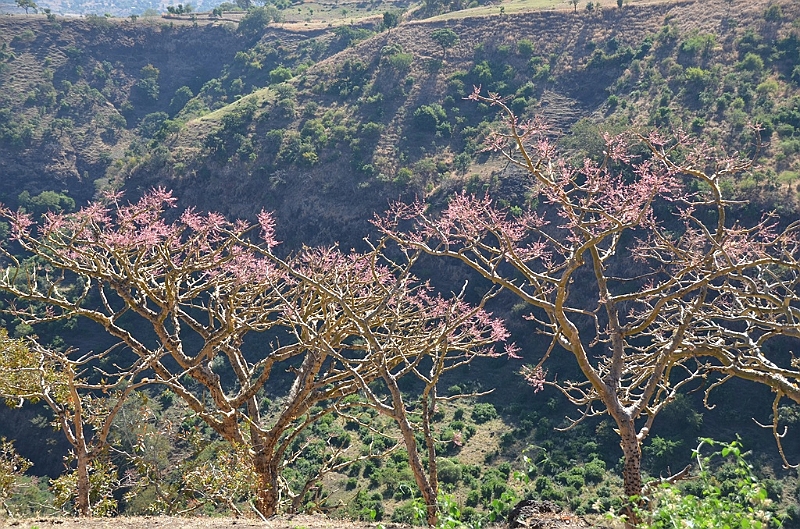 265_Ethiopia_North.JPG