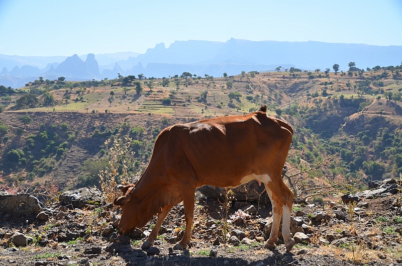 267_Ethiopia_North.JPG