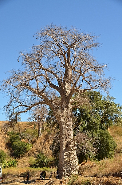 275_Ethiopia_North.JPG