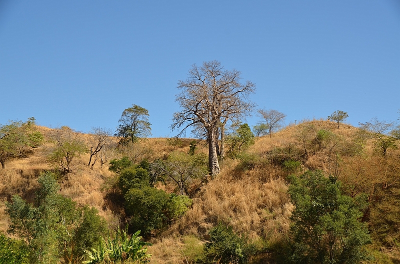 276_Ethiopia_North.JPG