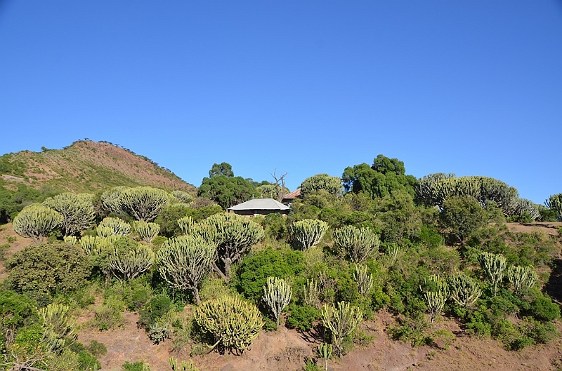 281_Ethiopia_North.JPG