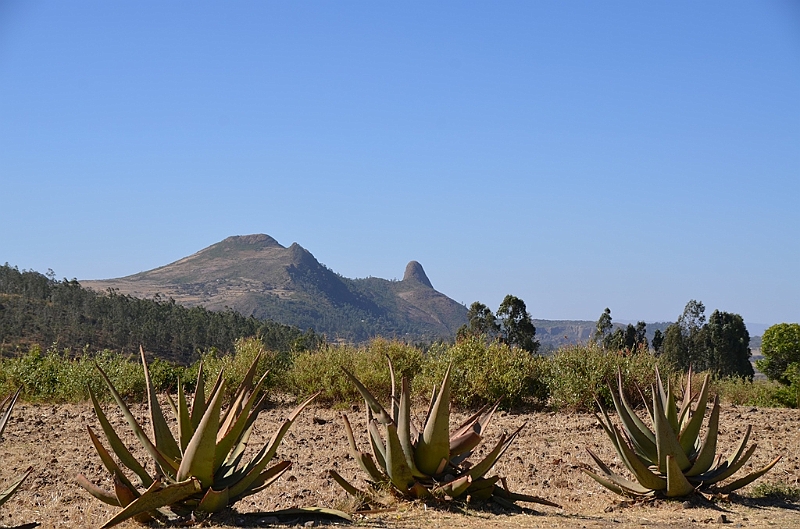 331_Ethiopia_North_Axum.JPG