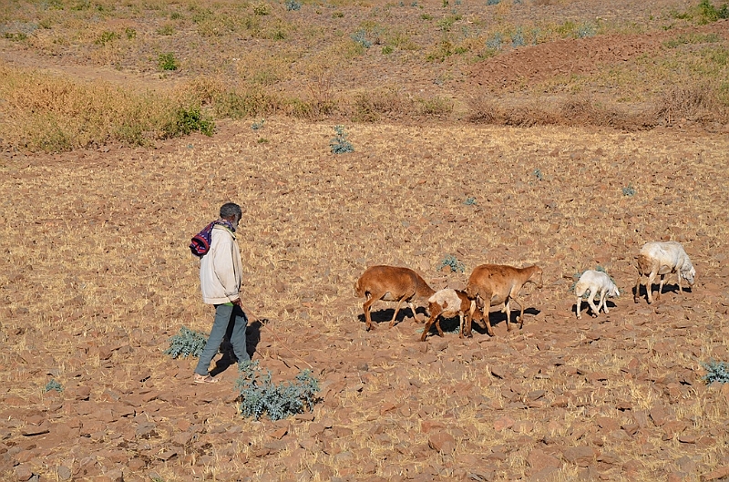 342_Ethiopia_North_Axum.JPG