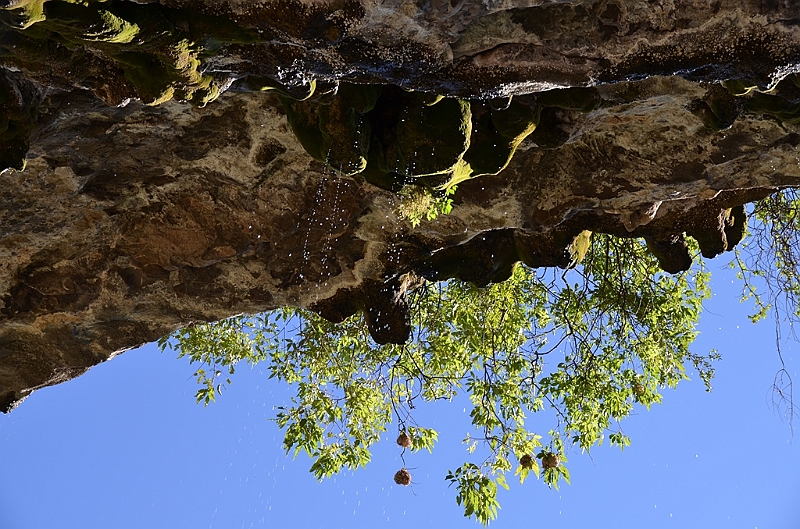 376_Ethiopia_North_Neakutoleab_Monastery.JPG