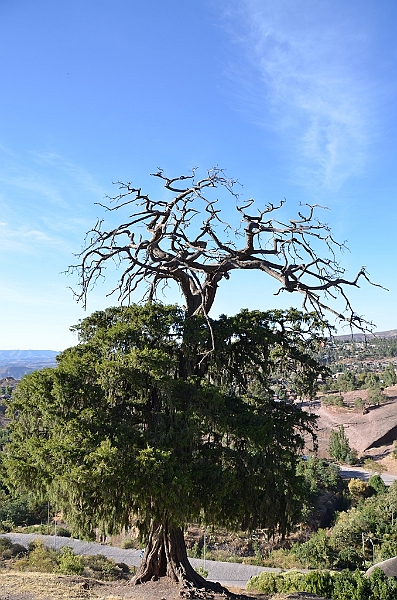 504_Ethiopia_North_Lalibela.JPG