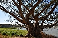 030_Ethiopia_North_Bahir_Dar_Tana_See