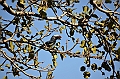 035_Ethiopia_North_Bahir_Dar_Tana_See