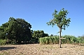 054_Ethiopia_North