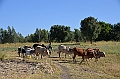 058_Ethiopia_North