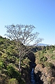073_Ethiopia_North_Tis_Issat_Faelle