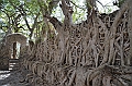 142_Ethiopia_North_Gondar_Fasiladas_Bath