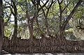 144_Ethiopia_North_Gondar_Fasiladas_Bath